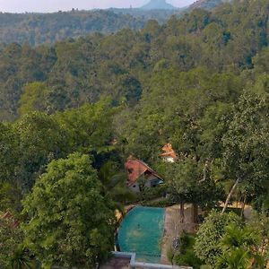 Willow Resorts